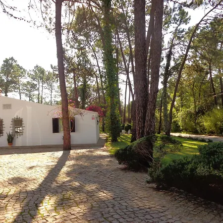 Cip-v5 Papa Figo Vakantiehuis